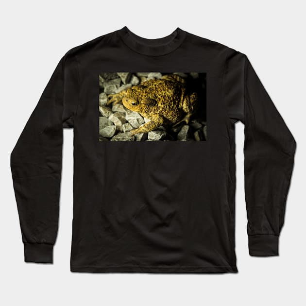 Wandering Toad - 2013 Long Sleeve T-Shirt by SimplyMrHill